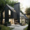 Modern Homes Decorating With Black Exteriors 06