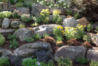 Relaxing Modern Rock Garden Ideas To Make Your Backyard Beautiful 10