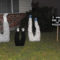 Top Halloween Outdoor Decorations To Terrify People 02
