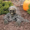 Top Halloween Outdoor Decorations To Terrify People 24