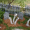 Top Halloween Outdoor Decorations To Terrify People 39