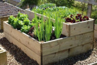 Exciting Ideas To Grow Veggies In Your Garden 01