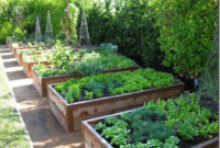 Exciting Ideas To Grow Veggies In Your Garden 03