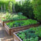 Exciting Ideas To Grow Veggies In Your Garden 03