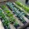 Exciting Ideas To Grow Veggies In Your Garden 14