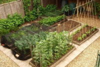 Exciting Ideas To Grow Veggies In Your Garden 16