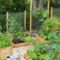 Exciting Ideas To Grow Veggies In Your Garden 17