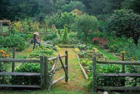 Exciting Ideas To Grow Veggies In Your Garden 18