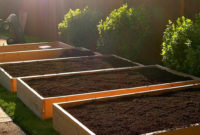 Exciting Ideas To Grow Veggies In Your Garden 19