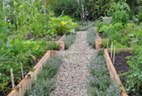 Exciting Ideas To Grow Veggies In Your Garden 21