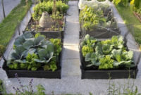 Exciting Ideas To Grow Veggies In Your Garden 22