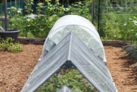 Exciting Ideas To Grow Veggies In Your Garden 31