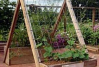 Exciting Ideas To Grow Veggies In Your Garden 33
