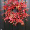 Creative Thanksgiving Front Door Decoration Ideas 19