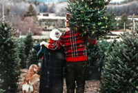 Charming Traditional Christmas Tree Decor Ideas 14
