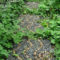 Innovative Stepping Stone Pathway Decor For Your Garden 47