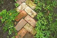 Best DIY Garden Path Designs You Can Bulid To Complete Your Gardens 53