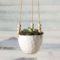 Beautiful Hanging Planter Ideas For Outdoor 20