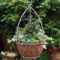 Beautiful Hanging Planter Ideas For Outdoor 27