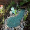 Brilliant DIY Fairy Garden Design Ideas 11