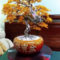 Inspiring Bonsai Tree Ideas For Your Garden 02