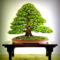Inspiring Bonsai Tree Ideas For Your Garden 20