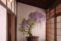Inspiring Bonsai Tree Ideas For Your Garden 51