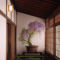 Inspiring Bonsai Tree Ideas For Your Garden 51