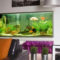 Modern Aquarium Partition Ideas For Living Room 05