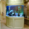 Modern Aquarium Partition Ideas For Living Room 11