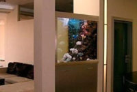 Modern Aquarium Partition Ideas For Living Room 14