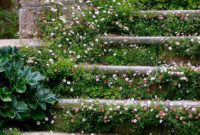 Romantic Backyard Garden Ideas You Should Try 29
