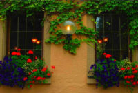 Wonderful Window Box Planters Yo Beautify Up Your Home 18