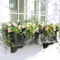 Wonderful Window Box Planters Yo Beautify Up Your Home 34