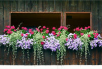 Wonderful Window Box Planters Yo Beautify Up Your Home 39