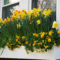 Wonderful Window Box Planters Yo Beautify Up Your Home 40