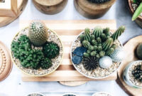 Cool Small Cactus Ideas For Home Decoration 02
