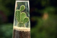 Cool Small Cactus Ideas For Home Decoration 04