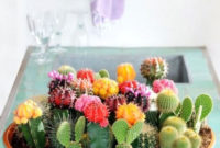 Cool Small Cactus Ideas For Home Decoration 06