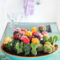 Cool Small Cactus Ideas For Home Decoration 06