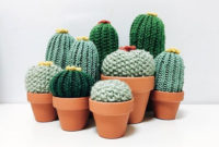 Cool Small Cactus Ideas For Home Decoration 08
