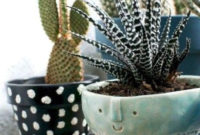 Cool Small Cactus Ideas For Home Decoration 17