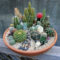 Cool Small Cactus Ideas For Home Decoration 18