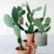 Cool Small Cactus Ideas For Home Decoration 19
