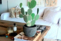 Cool Small Cactus Ideas For Home Decoration 30