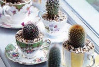 Cool Small Cactus Ideas For Home Decoration 35