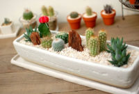 Cool Small Cactus Ideas For Home Decoration 38