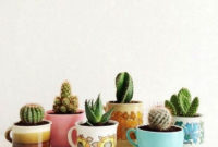 Cool Small Cactus Ideas For Home Decoration 40