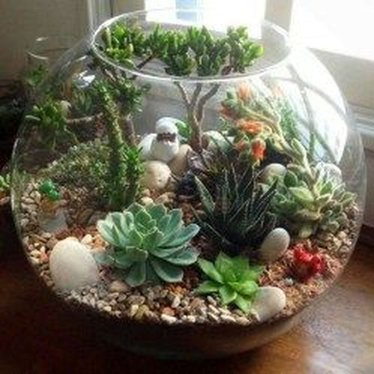 48 Cool Small Cactus Ideas For Home Decoration