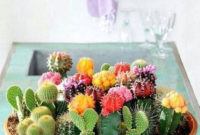 Cool Small Cactus Ideas For Home Decoration 43